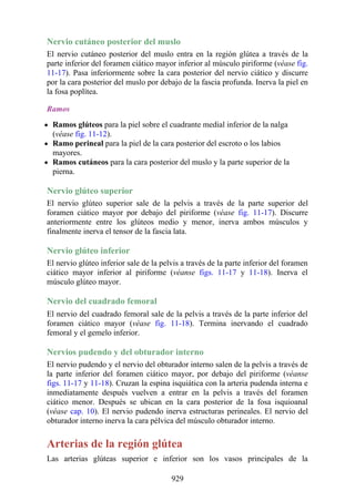 ANATOMIA SNELL 10MA EDICION ESPAÑOL.pdf