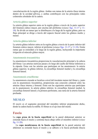 ANATOMIA SNELL 10MA EDICION ESPAÑOL.pdf