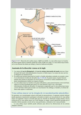 ANATOMIA SNELL 10MA EDICION ESPAÑOL.pdf