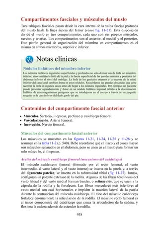 ANATOMIA SNELL 10MA EDICION ESPAÑOL.pdf