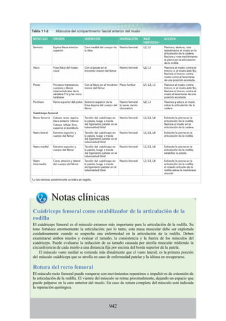 ANATOMIA SNELL 10MA EDICION ESPAÑOL.pdf