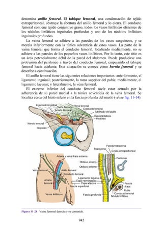 ANATOMIA SNELL 10MA EDICION ESPAÑOL.pdf
