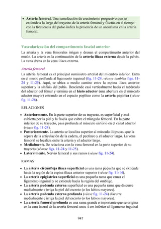 ANATOMIA SNELL 10MA EDICION ESPAÑOL.pdf