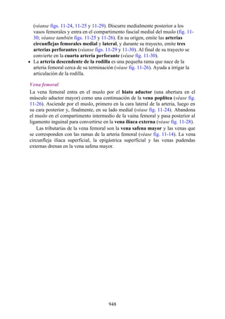 ANATOMIA SNELL 10MA EDICION ESPAÑOL.pdf