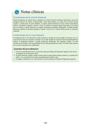 ANATOMIA SNELL 10MA EDICION ESPAÑOL.pdf