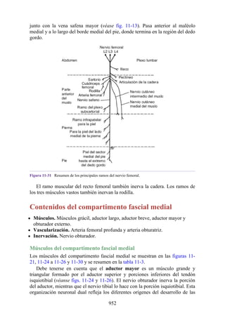 ANATOMIA SNELL 10MA EDICION ESPAÑOL.pdf