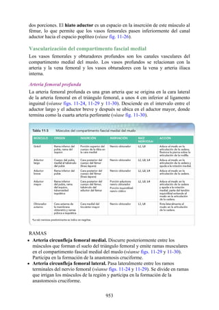 ANATOMIA SNELL 10MA EDICION ESPAÑOL.pdf