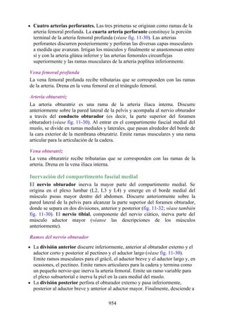 ANATOMIA SNELL 10MA EDICION ESPAÑOL.pdf
