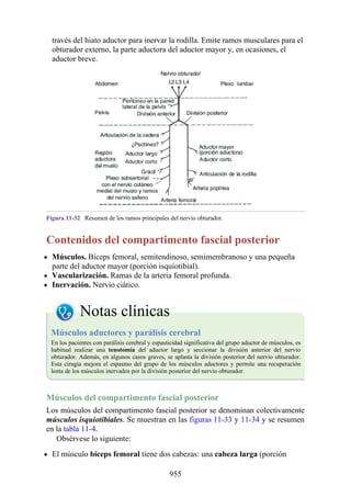 ANATOMIA SNELL 10MA EDICION ESPAÑOL.pdf