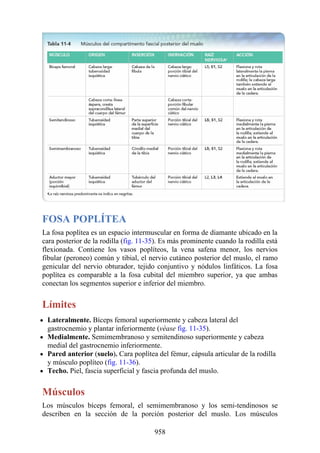 ANATOMIA SNELL 10MA EDICION ESPAÑOL.pdf