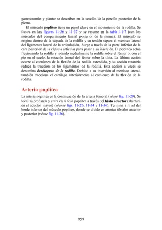 ANATOMIA SNELL 10MA EDICION ESPAÑOL.pdf