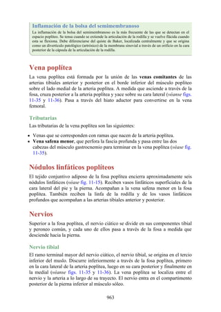 ANATOMIA SNELL 10MA EDICION ESPAÑOL.pdf