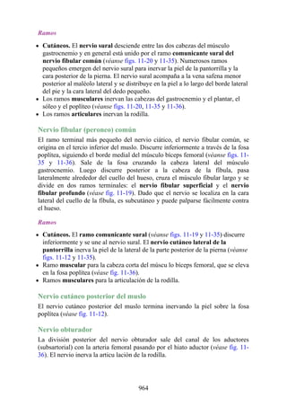 ANATOMIA SNELL 10MA EDICION ESPAÑOL.pdf