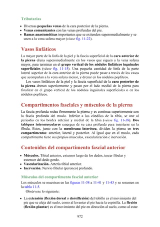ANATOMIA SNELL 10MA EDICION ESPAÑOL.pdf