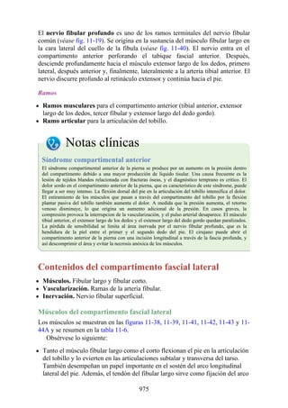 ANATOMIA SNELL 10MA EDICION ESPAÑOL.pdf