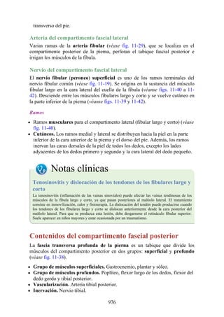 ANATOMIA SNELL 10MA EDICION ESPAÑOL.pdf