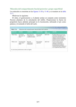 ANATOMIA SNELL 10MA EDICION ESPAÑOL.pdf
