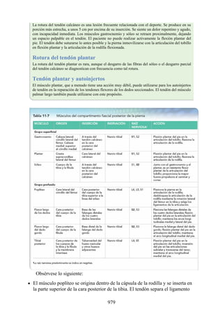 ANATOMIA SNELL 10MA EDICION ESPAÑOL.pdf