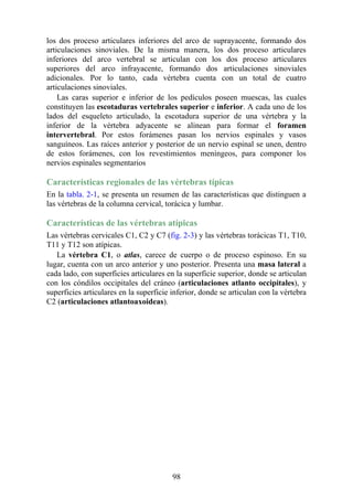 los dos proceso articulares inferiores del arco de suprayacente, formando dos
articulaciones sinoviales. De la misma manera, los dos proceso articulares
inferiores del arco vertebral se articulan con los dos proceso articulares
superiores del arco infrayacente, formando dos articulaciones sinoviales
adicionales. Por lo tanto, cada vértebra cuenta con un total de cuatro
articulaciones sinoviales.
Las caras superior e inferior de los pedículos poseen muescas, las cuales
constituyen las escotaduras vertebrales superior e inferior. A cada uno de los
lados del esqueleto articulado, la escotadura superior de una vértebra y la
inferior de la vértebra adyacente se alinean para formar el foramen
intervertebral. Por estos forámenes pasan los nervios espinales y vasos
sanguíneos. Las raíces anterior y posterior de un nervio espinal se unen, dentro
de estos forámenes, con los revestimientos meníngeos, para componer los
nervios espinales segmentarios
Características regionales de las vértebras típicas
En la tabla. 2-1, se presenta un resumen de las características que distinguen a
las vértebras de la columna cervical, torácica y lumbar.
Características de las vértebras atípicas
Las vértebras cervicales C1, C2 y C7 (fig. 2-3) y las vértebras torácicas T1, T10,
T11 y T12 son atípicas.
La vértebra C1, o atlas, carece de cuerpo o de proceso espinoso. En su
lugar, cuenta con un arco anterior y uno posterior. Presenta una masa lateral a
cada lado, con superficies articulares en la superficie superior, donde se articulan
con los cóndilos occipitales del cráneo (articulaciones atlanto occipitales), y
superficies articulares en la superficie inferior, donde se articulan con la vértebra
C2 (articulaciones atlantoaxoideas).
98
 