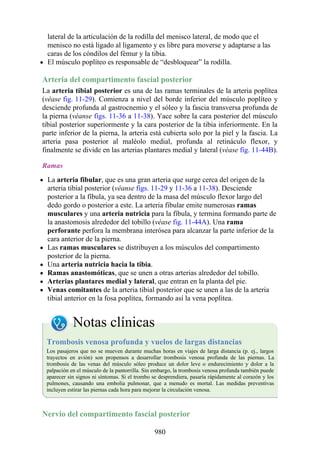 ANATOMIA SNELL 10MA EDICION ESPAÑOL.pdf