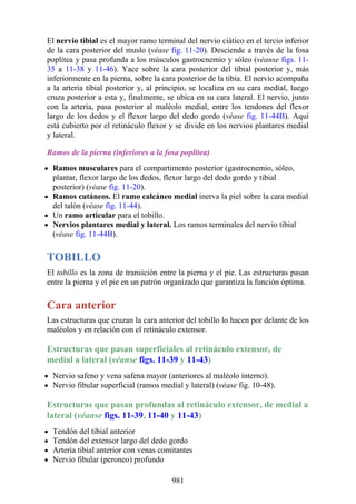 ANATOMIA SNELL 10MA EDICION ESPAÑOL.pdf
