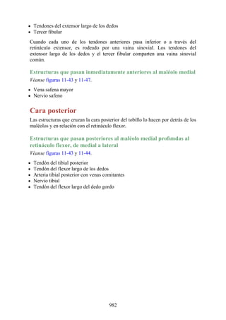 ANATOMIA SNELL 10MA EDICION ESPAÑOL.pdf