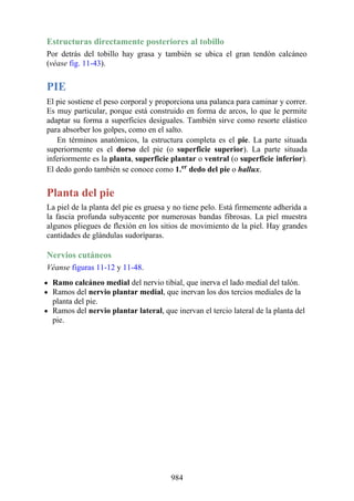 ANATOMIA SNELL 10MA EDICION ESPAÑOL.pdf