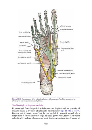ANATOMIA SNELL 10MA EDICION ESPAÑOL.pdf