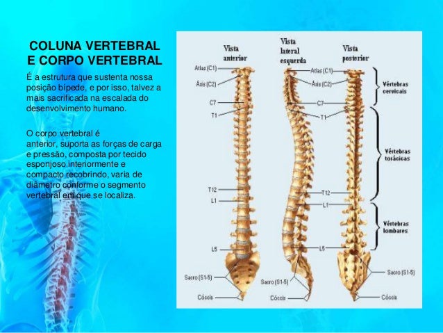 Exame da coluna cervical