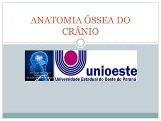 ANATOMIA ÓSSEA DO
         CRÂNIO



    Serviço de Neurologia e
        Neurocirurgia
Dr. Carlos Frederico Rodrigues
 