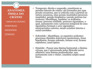  Temporais: direito e esquerdo, constituem as
 ANATOMIA             paredes laterais do crânio; são formados por uma
                      porção escamosa, que se articula com o parietal na
 ÓSSEA DO             sutura escamosa, uma porção mastóidea (processo
  CRÂNIO              mastóide), porção tímpânica e porção petrosa (ou
                      rochosa). Identifique, também, os acidentes
 OSSOS DO CRÂNIO:     ósseos: processo estilóide, processo zigomático, o
                      qual, juntamente com o processo temporal do osso
TEMPORAIS             zigomático formam o arco zigomático,
                      meatoacústico externo, meato acústico interno e
ESFENÓIDE             canal carotídeo.
ETMÓIDE
                     Esfenóide:- Identifique, os seguintes acidentes:
                      processos clinóides anteriores eposteriores, fossa
                      hipofisária, forame redondo, forame oval, forame
                      espinhoso, canal óptico.

                     Etmóide:- Possui uma lâmina horizontal, a lâmina
                      crivosa, que é atravessada pelos filetesdo nervo
                      olfatório; uma lâmina perpendicular, que,
                      juntamente com o vômer, constitui osepto nasal
                      ósseo.
 