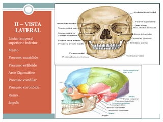 II – VISTA
   LATERAL
Linha temporal
superior e inferior

Meato

Processo mastóide

Processo estilóide

Arco Zigomático

Processo condilar

Processo coronóide

Ramo

ângulo
 