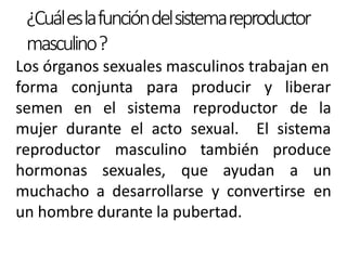 ¿Cuáleslafuncióndelsistemareproductor
masculino?
Los órganos sexuales masculinos trabajan en
forma conjunta para producir y liberar
semen en el sistema reproductor de la
mujer durante el acto sexual. El sistema
también produce
reproductor masculino
hormonas sexuales, que ayudan a un
muchacho a desarrollarse y convertirse en
un hombre durante la pubertad.
 