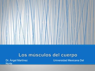 Dr. Ángel Martínez			Universidad Mexicana Del Norte Los músculos del cuerpo 