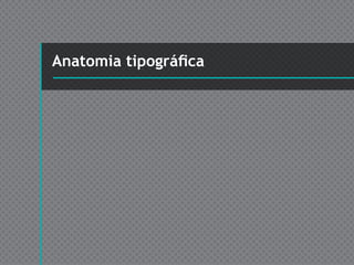 Anatomia tipográfica
 