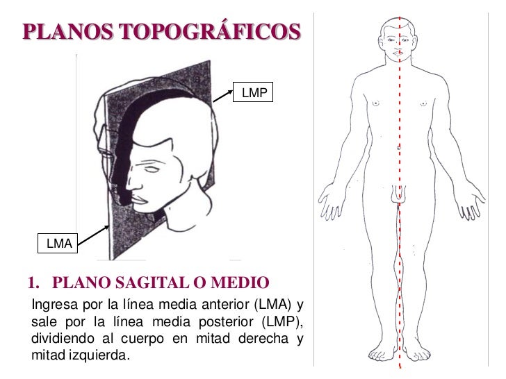 Que son la crema de la pigmentación sobre la persona revocaciones