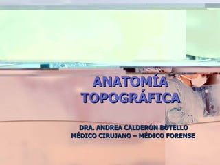 ANATOMÍA TOPOGRÁFICA DRA. ANDREA CALDERÓN BOTELLO MÉDICO CIRUJANO – MÉDICO FORENSE 