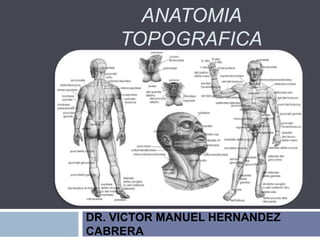 ANATOMIA
TOPOGRAFICA
DR. VICTOR MANUEL HERNANDEZ
CABRERA
 