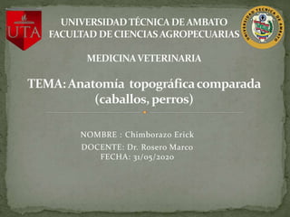 NOMBRE : Chimborazo Erick
DOCENTE: Dr. Rosero Marco
FECHA: 31/05/2020
 