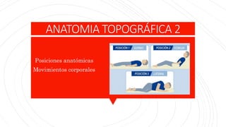 ANATOMIA TOPOGRÁFICA 2
Posiciones anatómicas
Movimientos corporales
 
