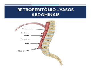 RETROPERITÔNIO –VASOS
ABDOMINAIS
 