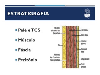 ESTRATIGRAFIA
 Pele eTCS
 Músculo
 Fáscia
 Peritônio
 