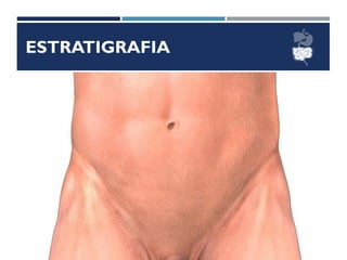ESTRATIGRAFIA
 