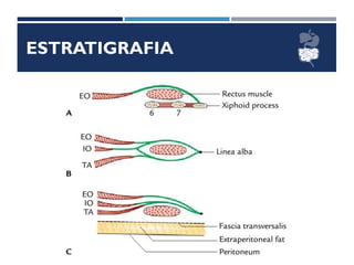 ESTRATIGRAFIA
 