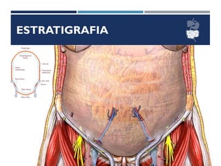 ESTRATIGRAFIA
 