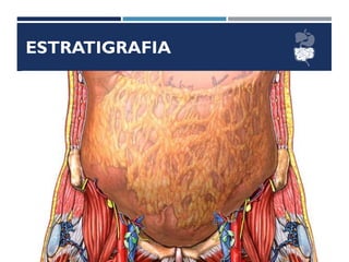 ESTRATIGRAFIA
 