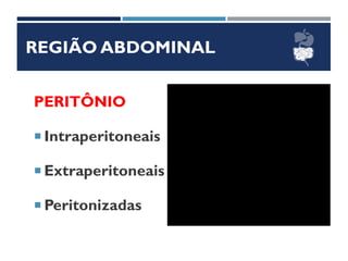 REGIÃO ABDOMINAL
PERITÔNIO
 Intraperitoneais
 Extraperitoneais
 Peritonizadas
 