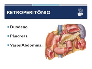 RETROPERITÔNIO
 Duodeno
 Pâncreas
 Vasos Abdominais
 