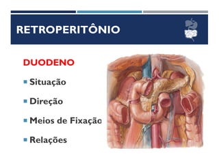 RETROPERITÔNIO
DUODENO
 Situação
 Direção
 Meios de Fixação
 Relações
 
