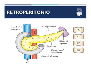 RETROPERITÔNIO
DUODENO
 Situação
 Direção
 Meios de Fixação
 Relações
 